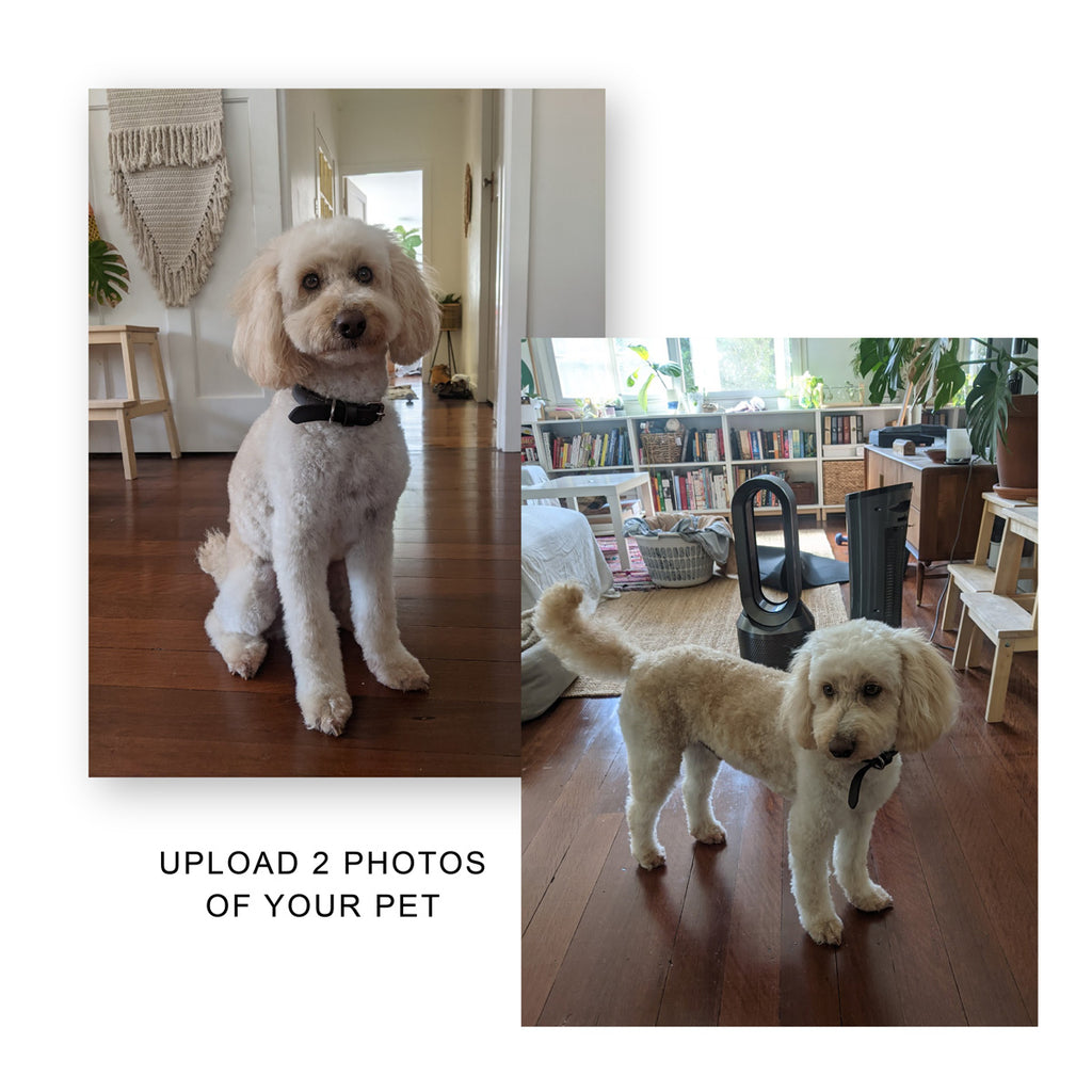 Two photos of a cream spoodle inside a home and the text "upload 2 photos of your pet" part of the process for ordering a pet portrait