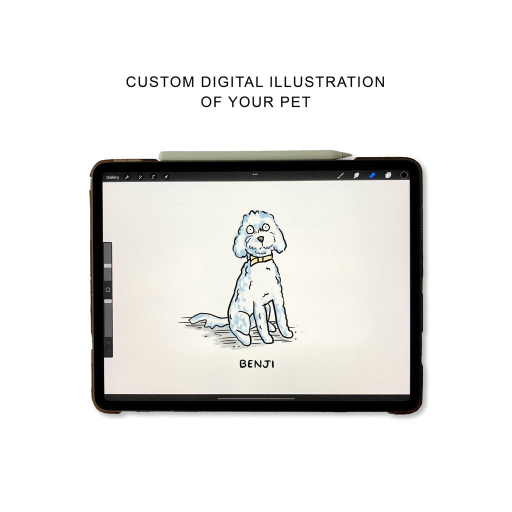 An Apple iPad with stylus pencil and digital illustration of a spoodle with his name Benji below and the text above it reads Custom Digital Illustration of your Pet