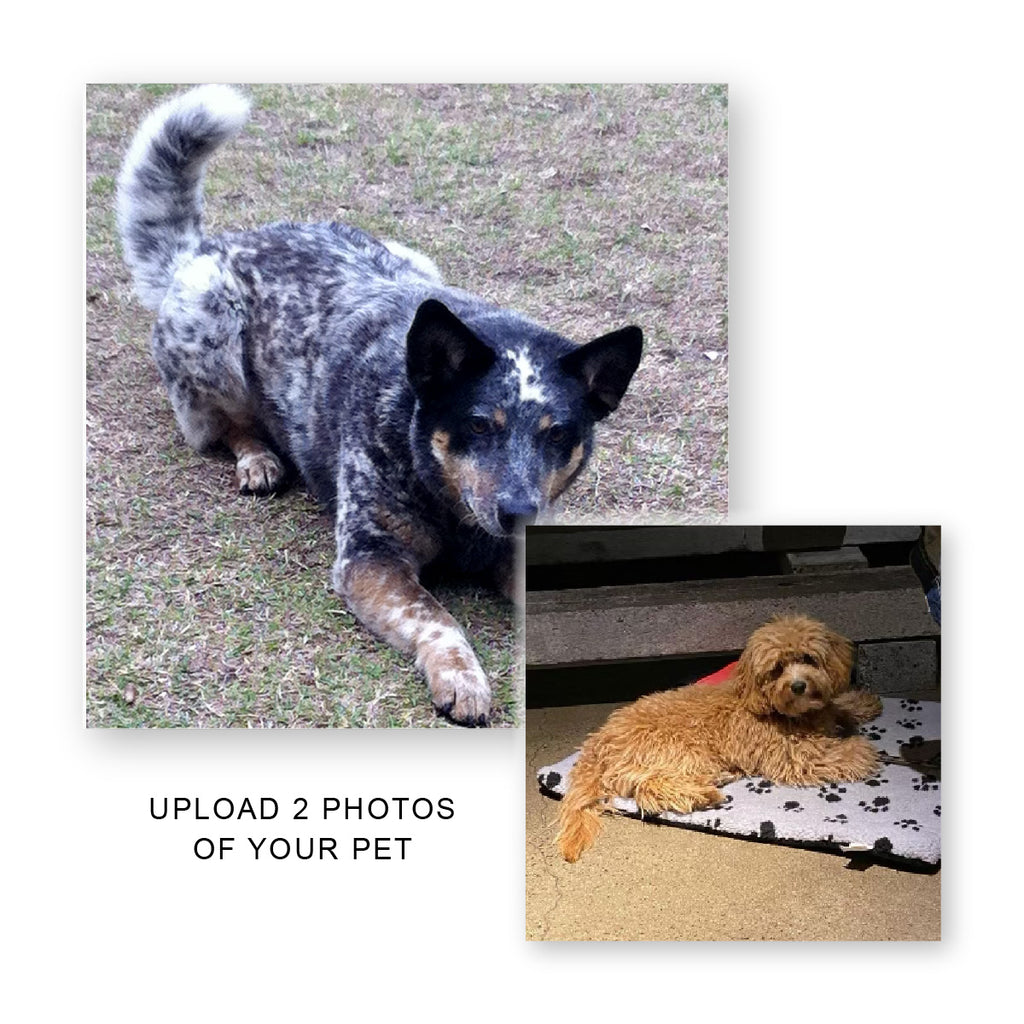a cattle dog and a cavoodle in two separate images with the words "upload 2 photos of your pet" to order your pet portrait