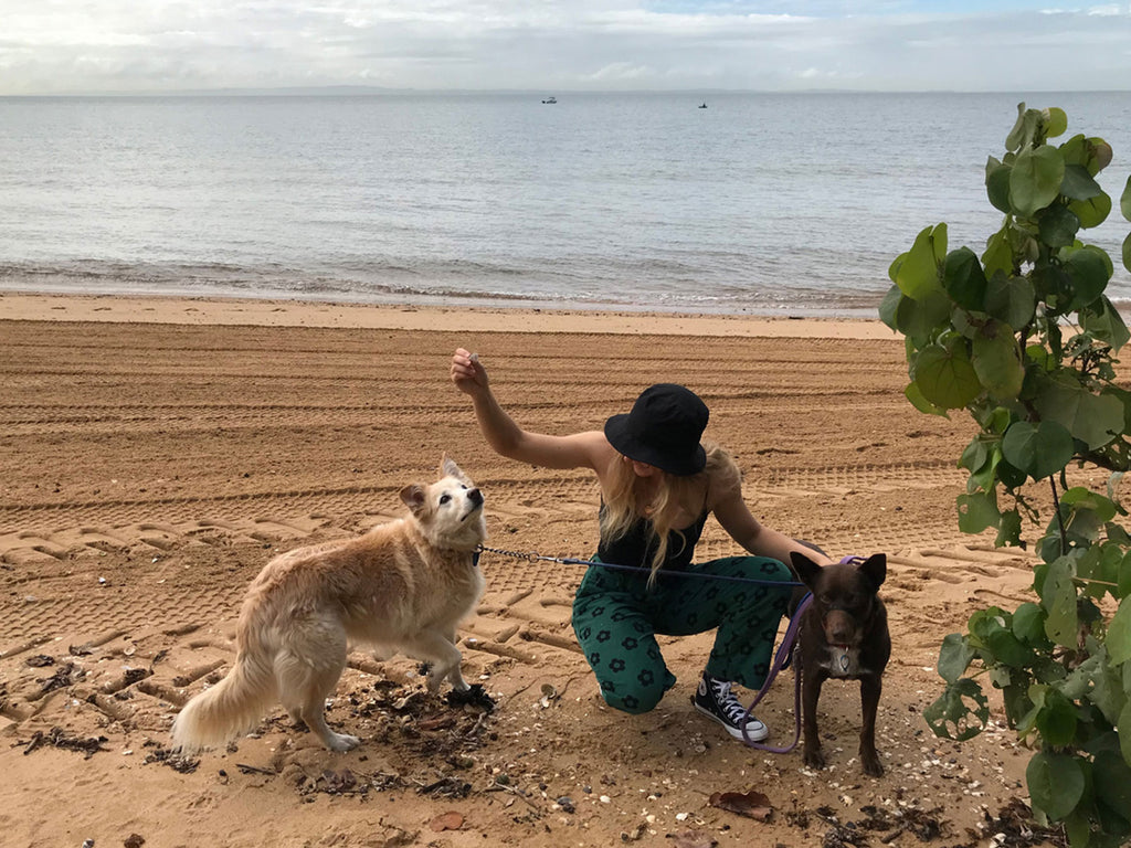 My dogs by default - Hound Town 