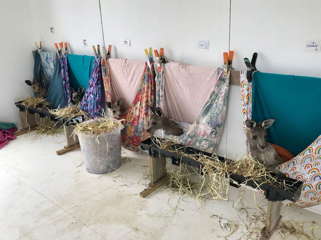 Our Haven Wildlife Shelter