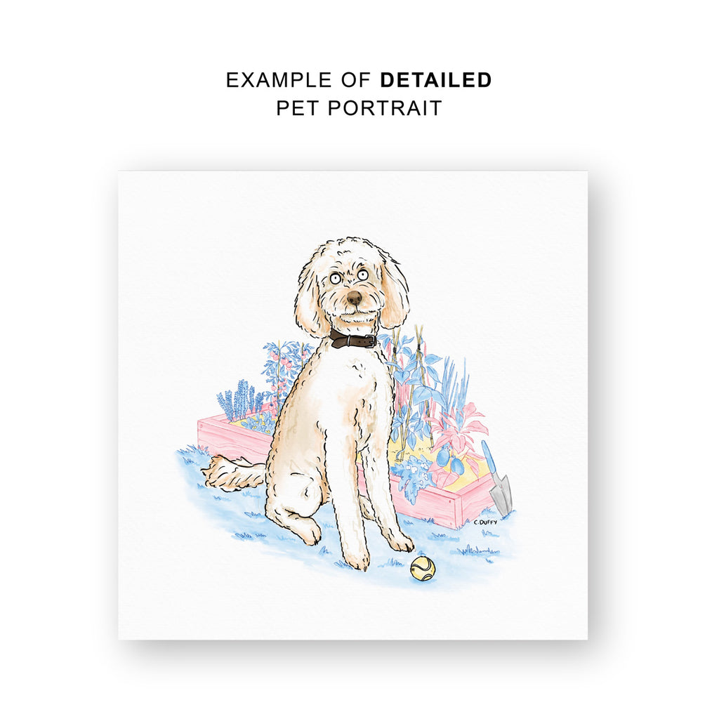 An accurate depiction of a spaniel cross poodle dog sitting in front of a garden bed with a ball in a cartoon style and text above reading "example of detailed pet portrait"