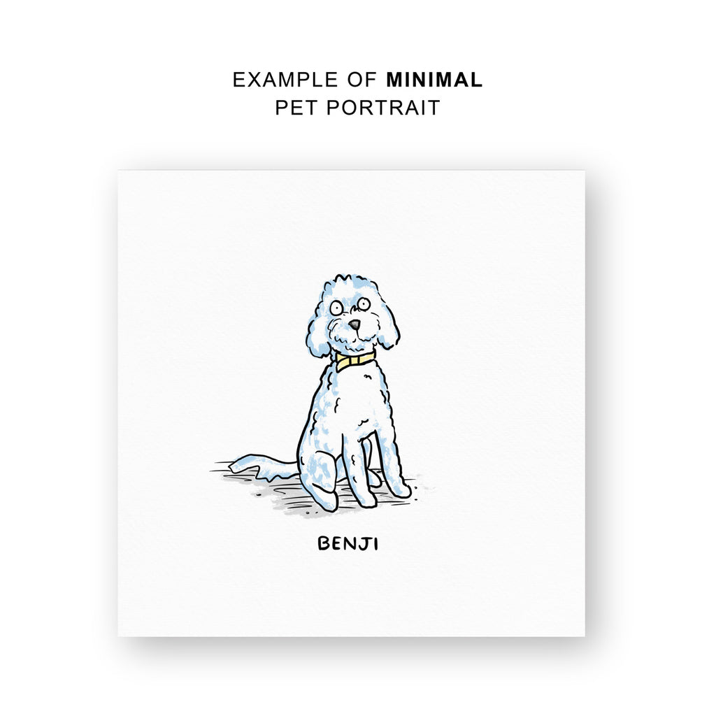A simple cartoon pet portrait of a cavoodle poodle dog, customised with the name Benji written below the illustration and the text above reading "Example of minimal pet portrait"