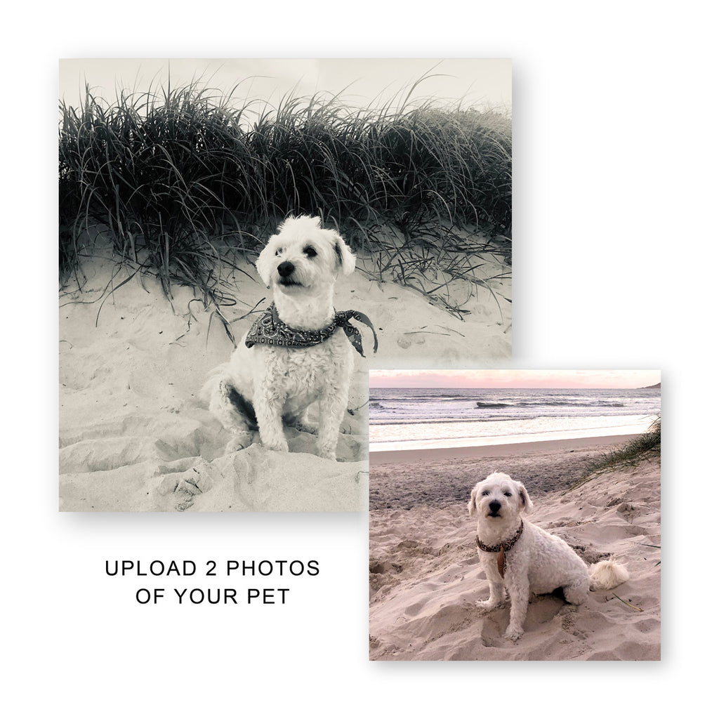 white dog wearing bandana at beach from two angles with text reading Upload two photos of your pet