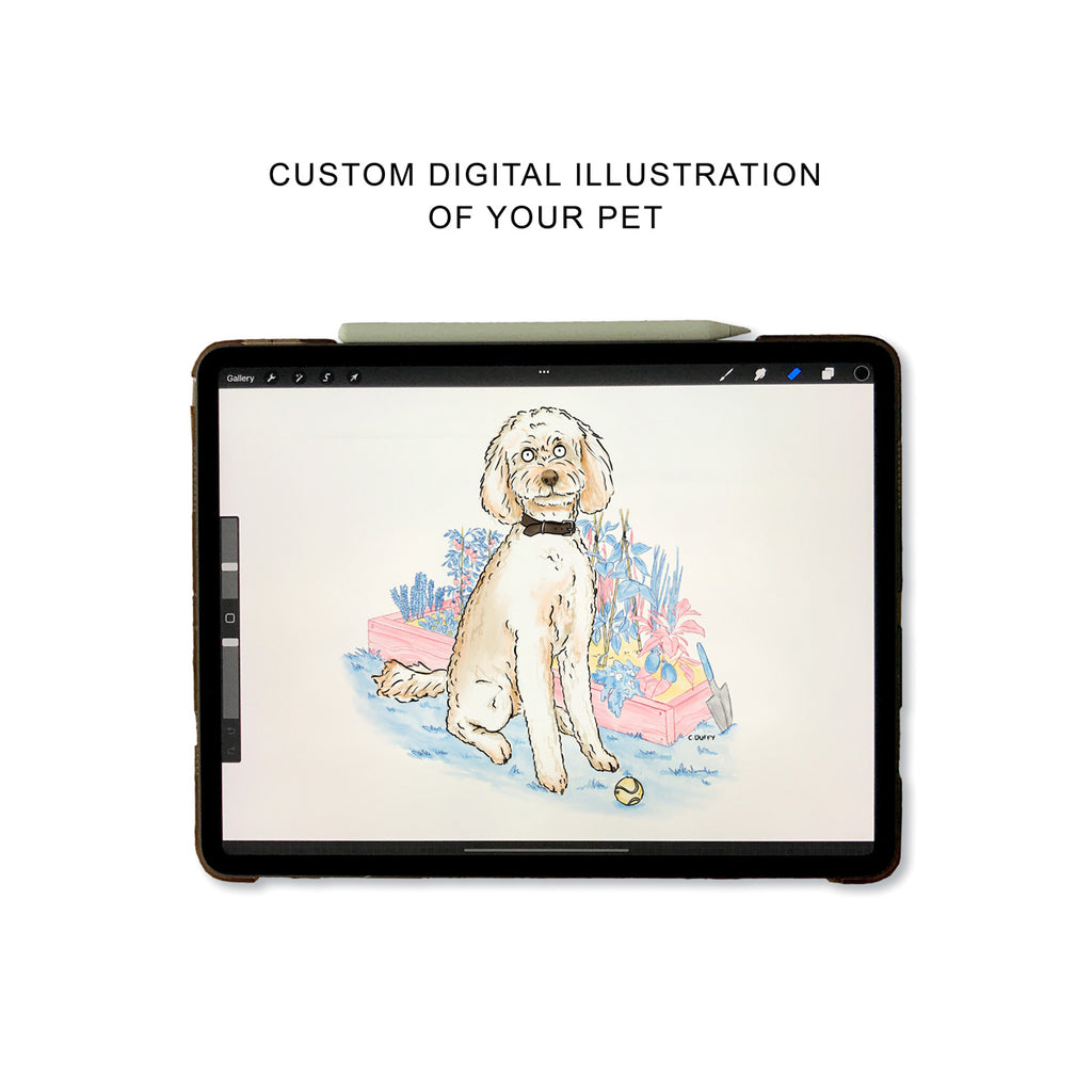 A pet portrait on the screen of an iPad showing a spoodle sitting in front of a garden bed with a ball with text above reading "Custom digital illustration of your pet"