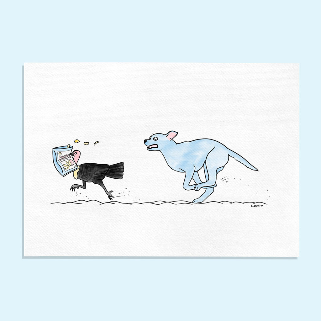 digital illustration of a pastel blue staffy type dog chasing a bush turkey which has stolen a bag of chips
