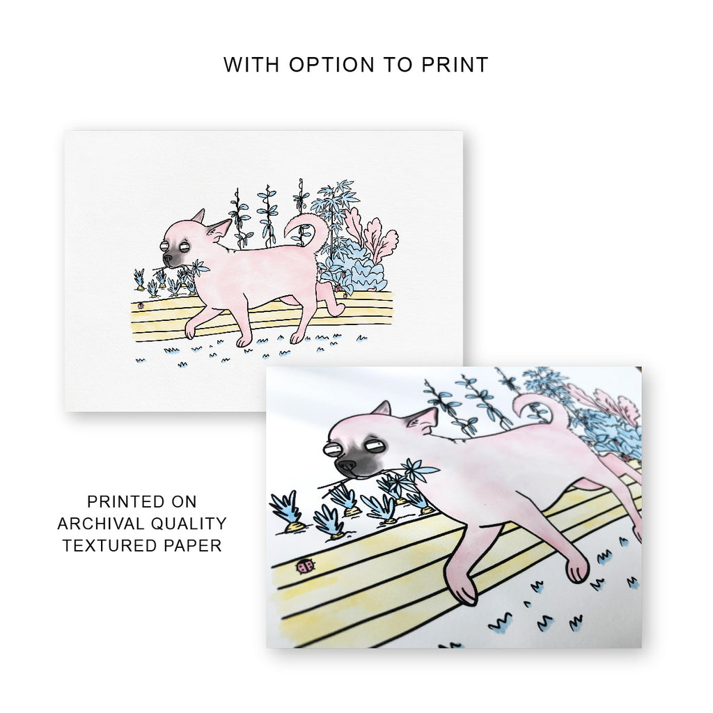 A chihuahua carrying a weed leaf in front of a garden bed from two angles and the text "with option to print" and "Printed on archival paper" designs by Clare Duffy