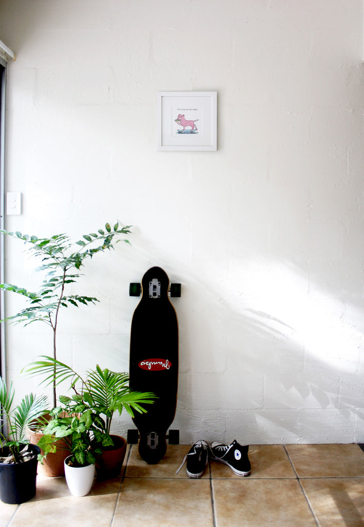 A framed artwork of dog eat dog world on the wall above apartment entrance which includes pot plants a longboard skateboard and converse sneakers against a white wall